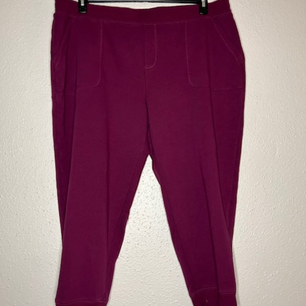 Isaac Mizrahi Live Soho Plush Pants Size 2XP
